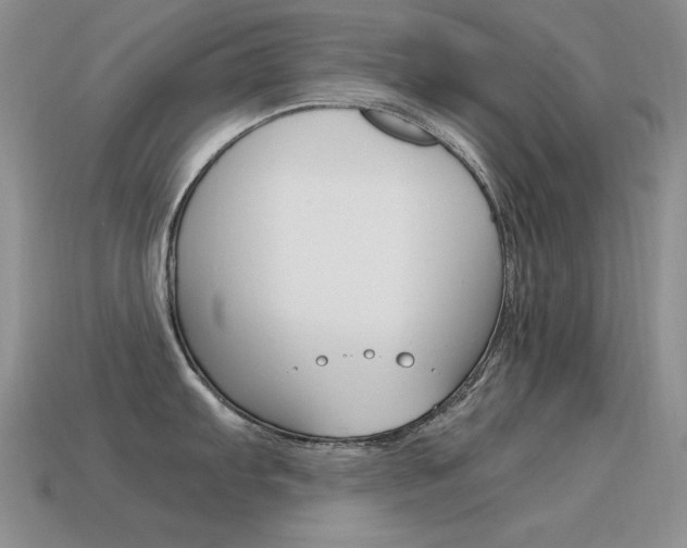 X0000115561103200911061142
