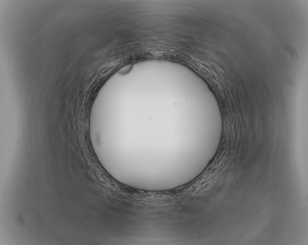 X0000115561105200911061142