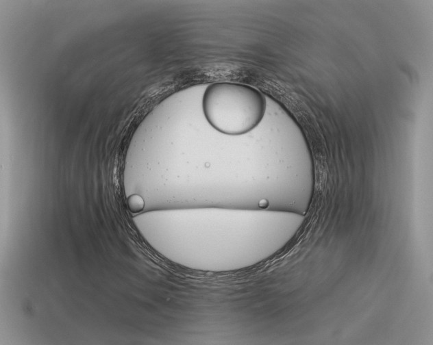 X0000115561106200911061142