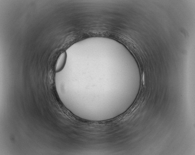 X0000115561107200911061142