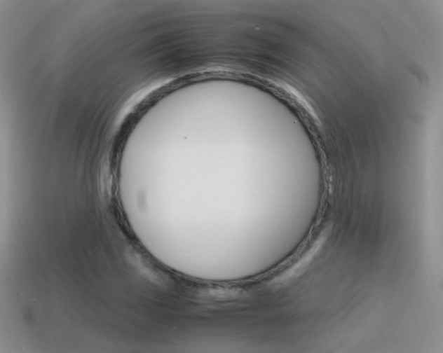 X0000115561117200911061142