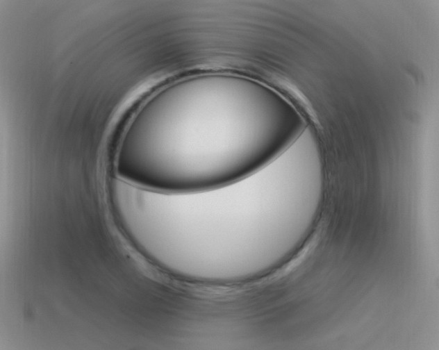 X0000115561122200911061142