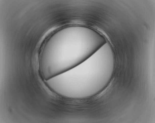 X0000115561123200911061142