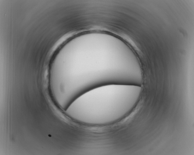 X0000115561126200911061142