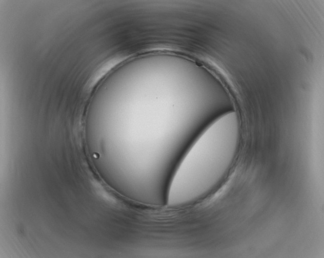 X0000115561129200911061142