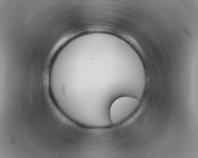 X0000115561130200911061142