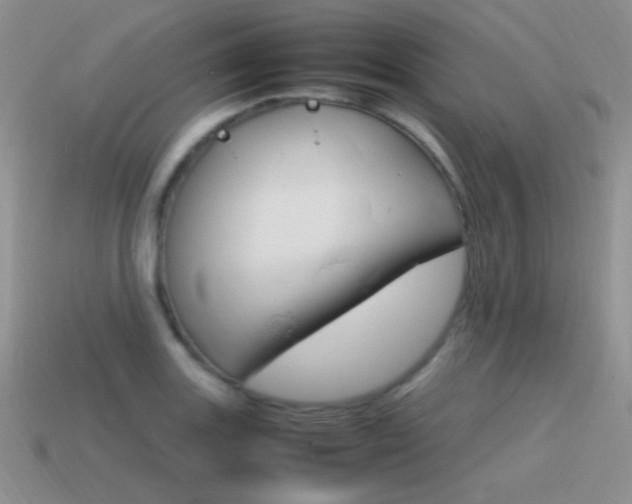 X0000115561131200911061142