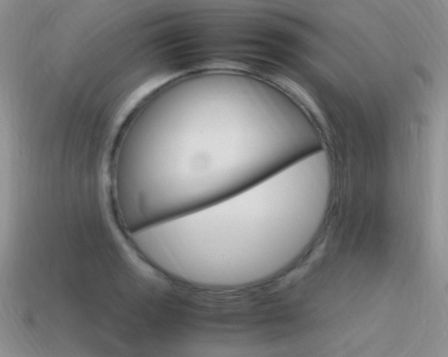 X0000115561133200911061142