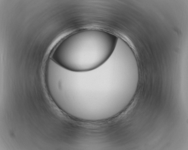 X0000115561138200911061142