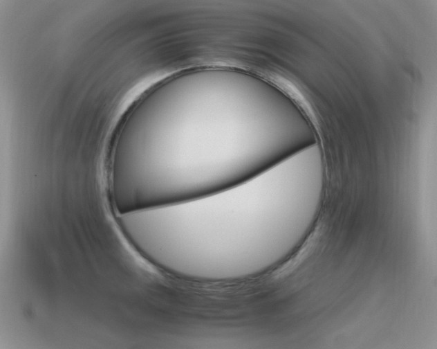 X0000115561141200911061142