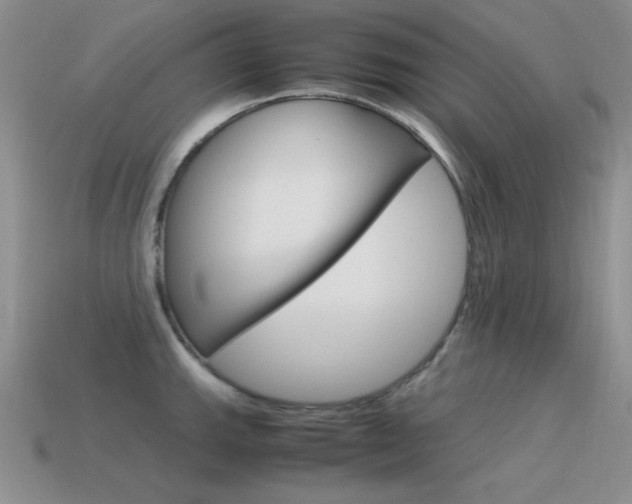 X0000115561143200911061142