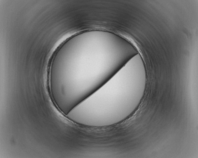 X0000115561147200911061142