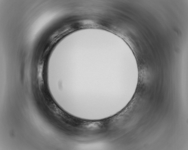 X0000115561150200911061142