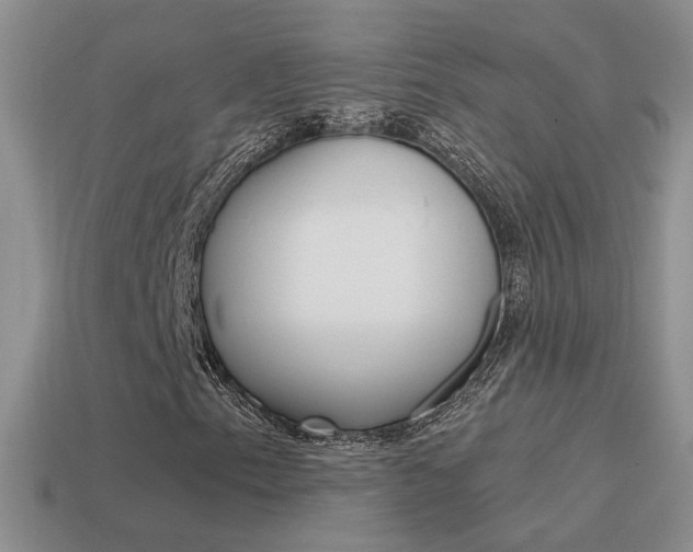 X0000115561153200911061142