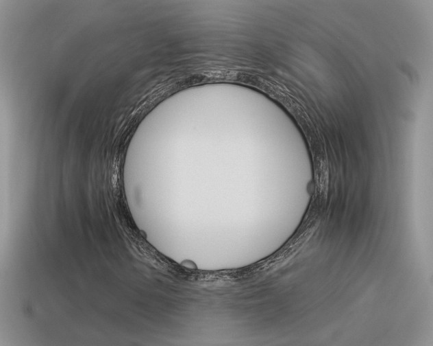 X0000115561154200911061142