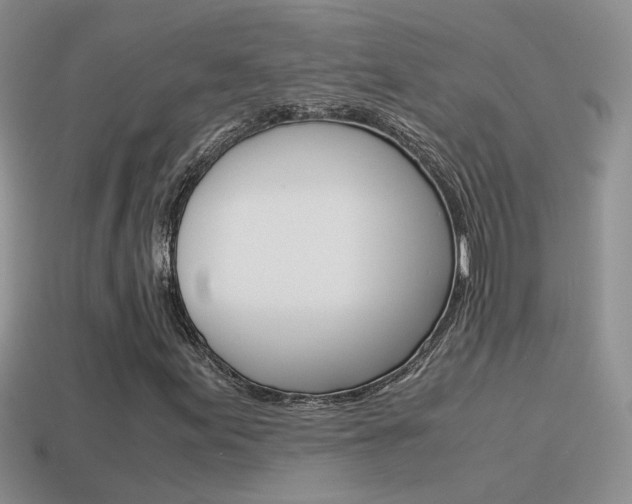 X0000115561155200911061141