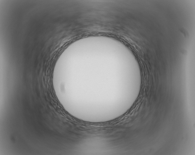 X0000115561157200911061141