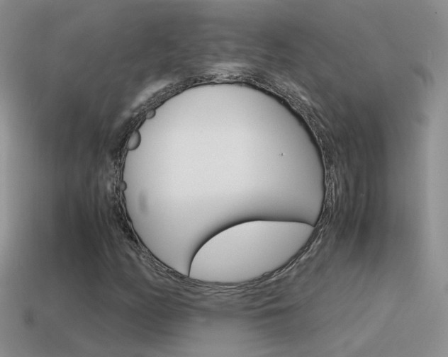 X0000115561158200911061141