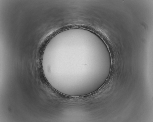 X0000115561159200911061141