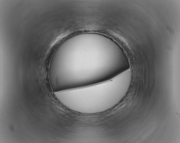 X0000115561160200911061141