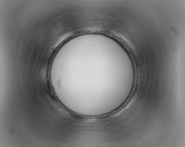 X0000115561162200911061141