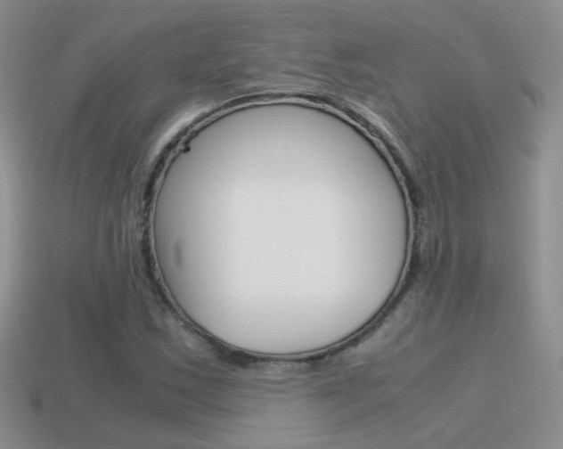 X0000115561163200911061141