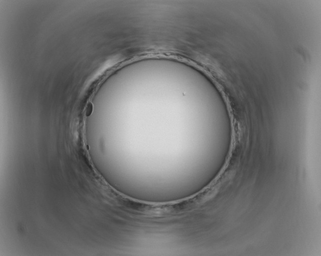 X0000115561165200911061141