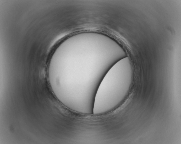 X0000115561166200911061141