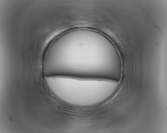 X0000115561167200911061141