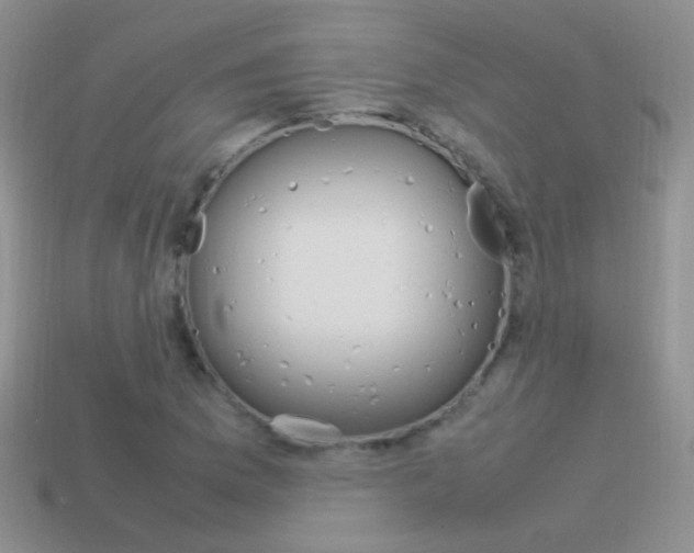 X0000115561169200911061141