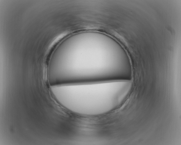 X0000115561171200911061141