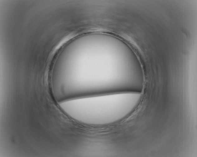 X0000115561173200911061141