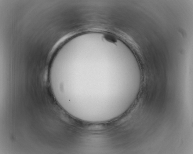 X0000115561174200911061141