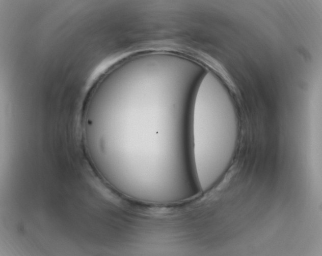 X0000115561176200911061141