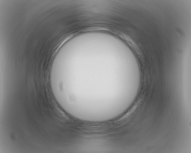 X0000115561177200911061141