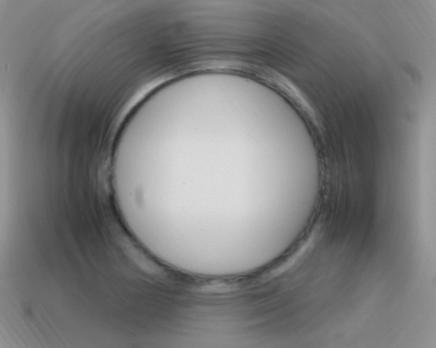X0000115561178200911061141