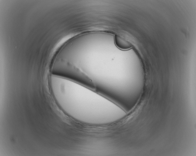 X0000115561179200911061141