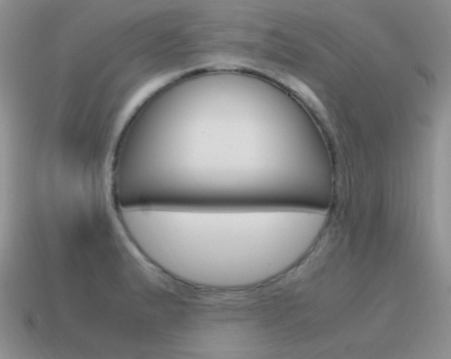 X0000115561183200911061141