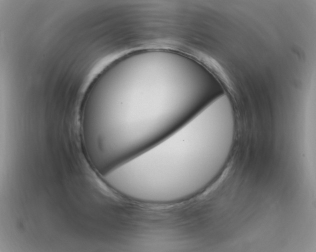 X0000115561184200911061141
