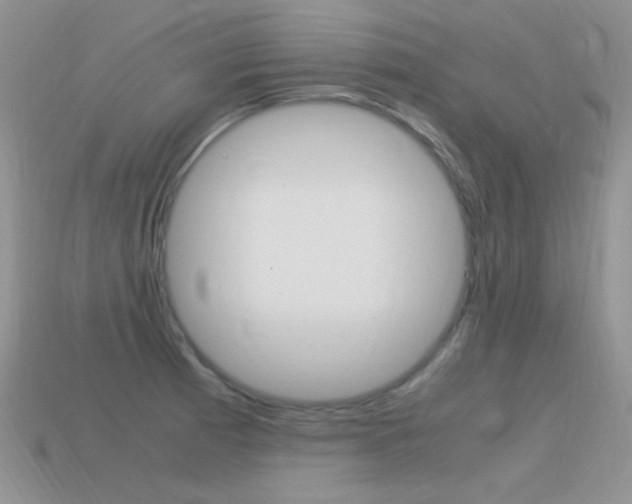 X0000115561185200911061141