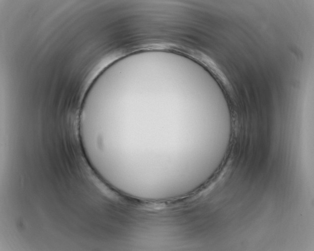 X0000115561186200911061141