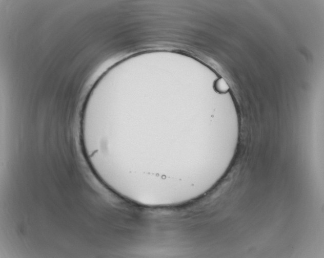 X0000115561187200911061141