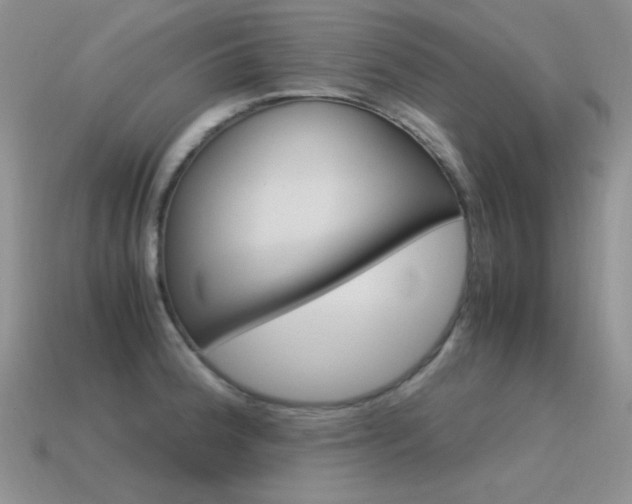 X0000115561188200911061141