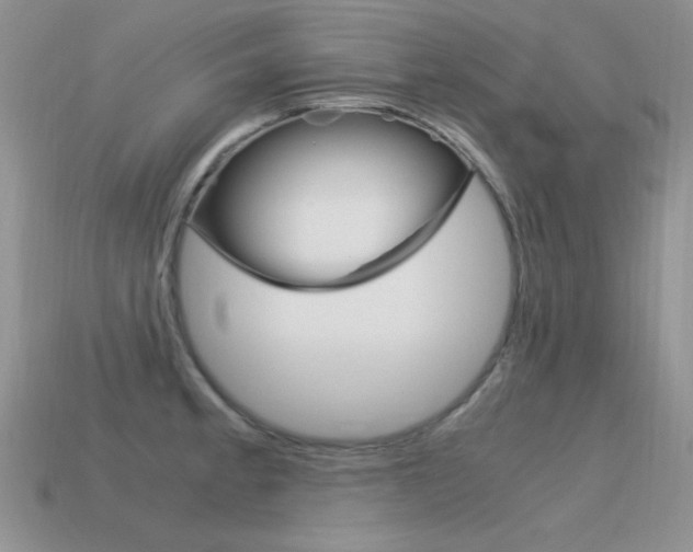 X0000115561189200911061141