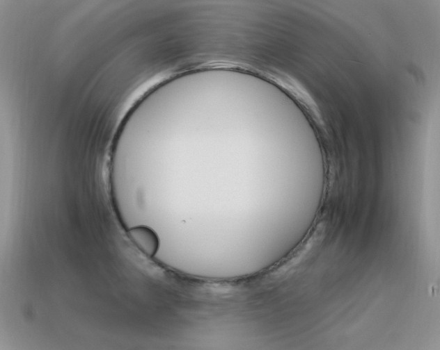 X0000115561190200911061141
