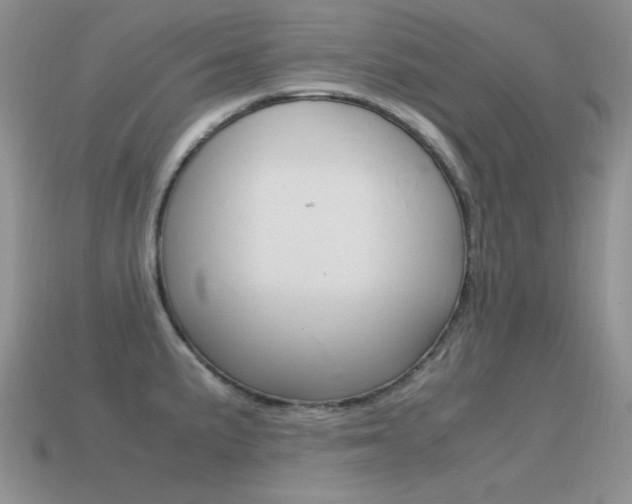 X0000115561191200911061141