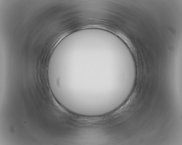 X0000115561193200911061141