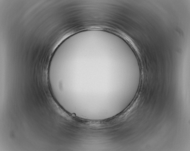 X0000115561194200911061141