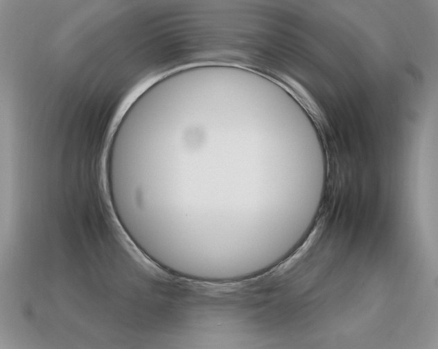 X0000115561196200911061141