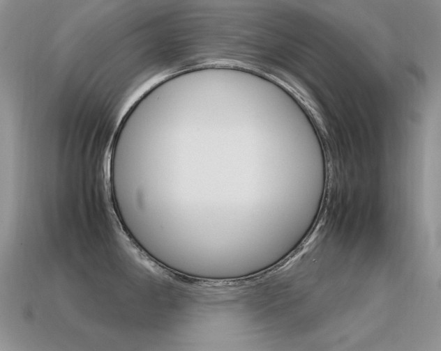 X0000115561198200911061141